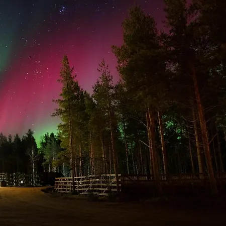 Arctic Snowhotel & Glass Igloos Ξενοδοχείο 3*