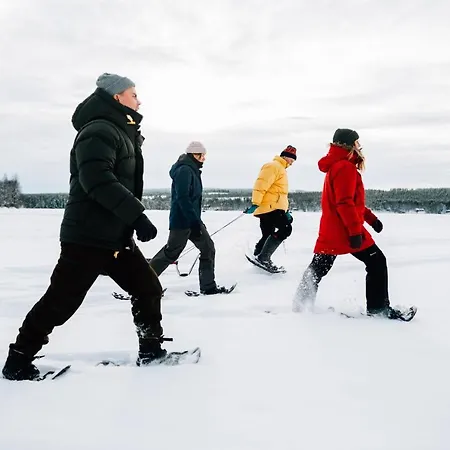 ホテル Arctic Snowhotel & Glass Igloos シニータ