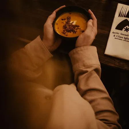 Arctic Snowhotel & Glass Igloos 3* シニータ