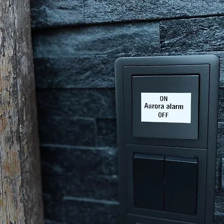 ホテル Arctic Snowhotel & Glass Igloos シニータ