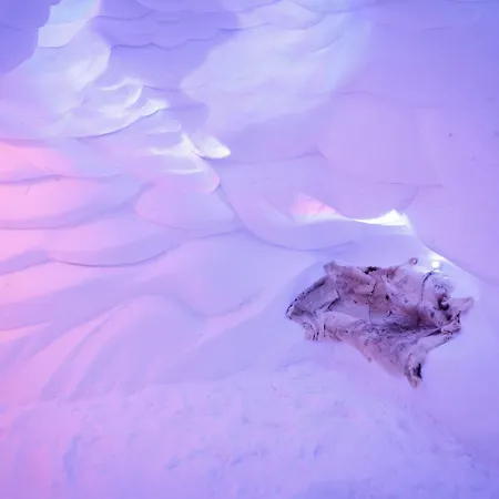 Arctic Snowhotel & Glass Igloos Sinettä