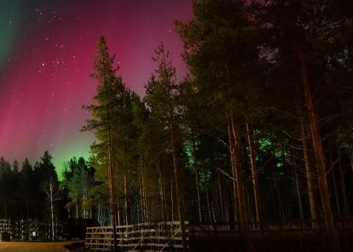 Arctic Snowhotel & Glass Igloos Hotel 3*