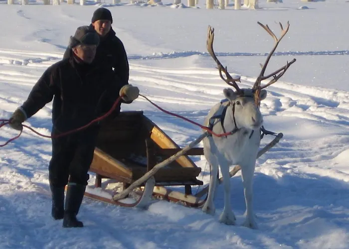 فندق Arctic Snowhotel & Glass Igloos Sinettä